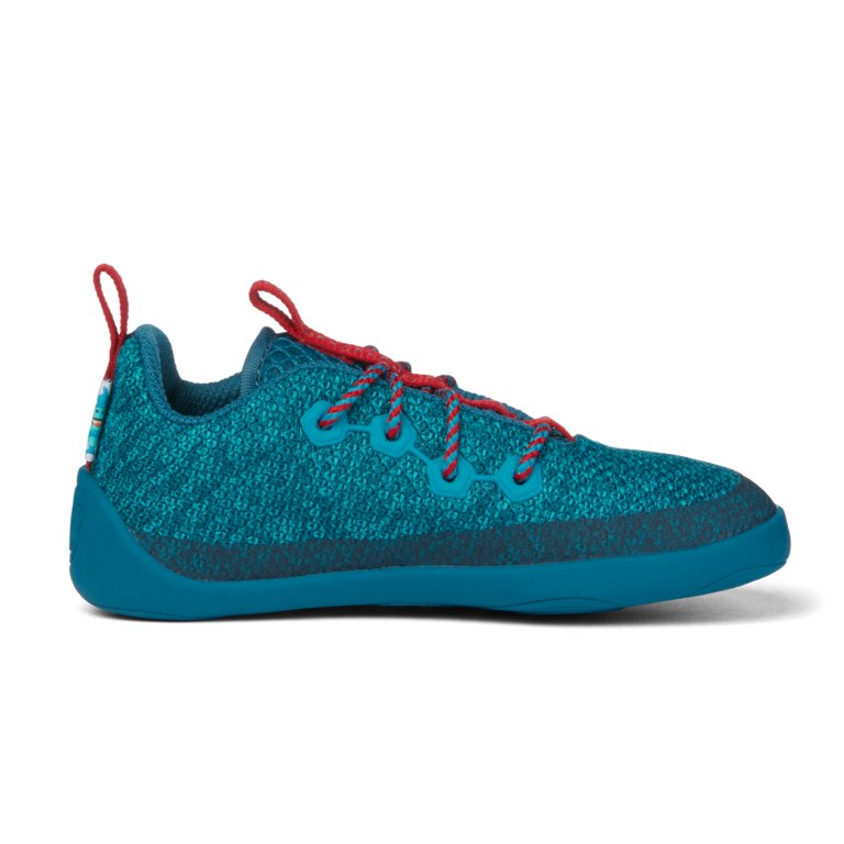 Affenzahn Low Cut Knit Lace – HAI und weitere Kinderschuhe bei kippie.shop