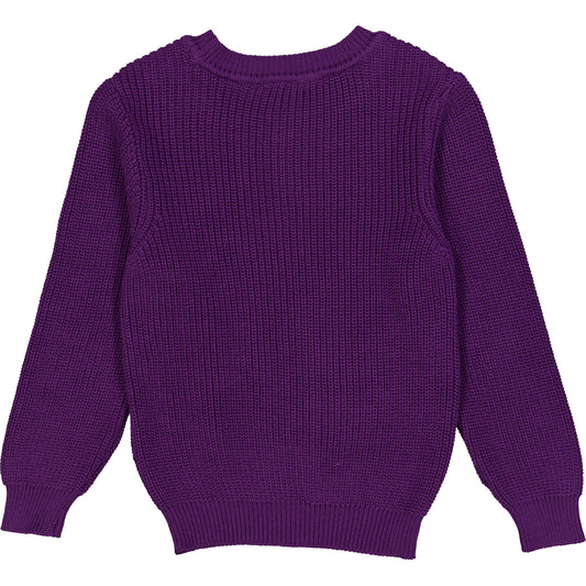 Fred's World by green cotton Kinder Strickpullover – Sonic Purple