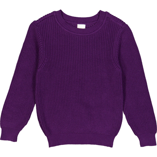 Fred's World by green cotton Kinder Strickpullover – Sonic Purple