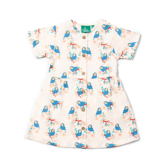 Little Green Radicals Sommerkleid mit Knopfleiste – Blue Birds und weitere Kinder Kleid bei kippie.shop